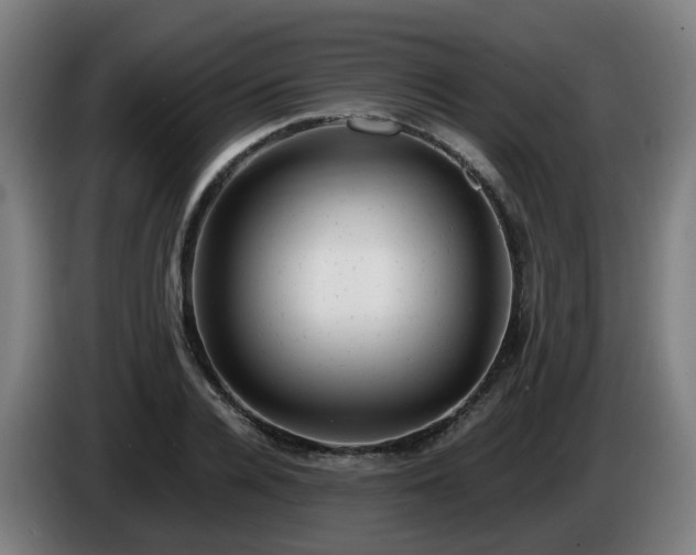 X0000086010936200703301007