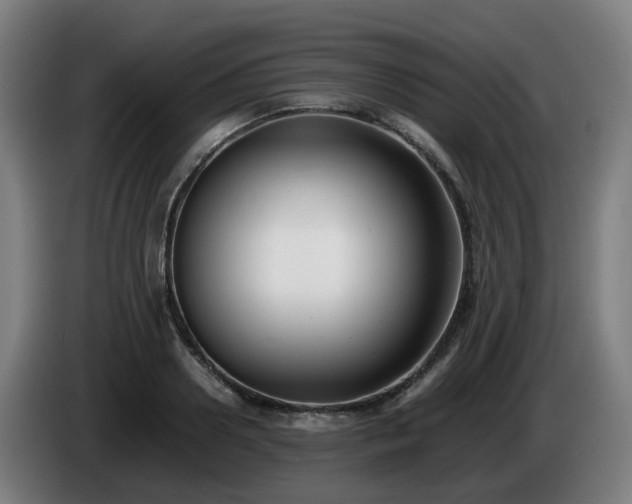 X0000086010938200703301007
