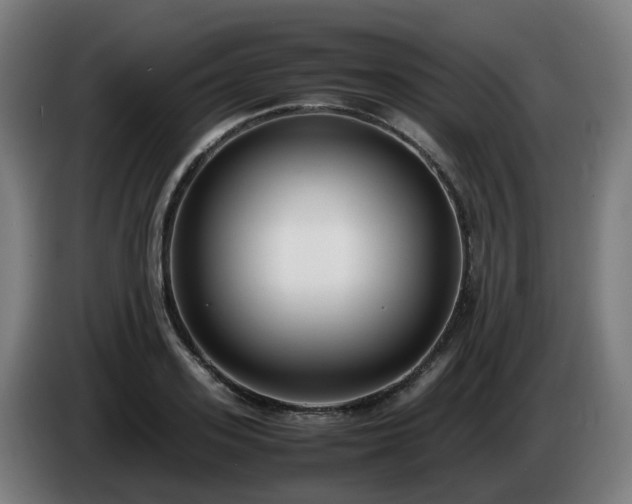 X0000086010939200703301007