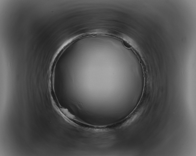 X0000086010941200703301007