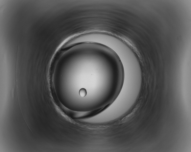 X0000086010942200703301007