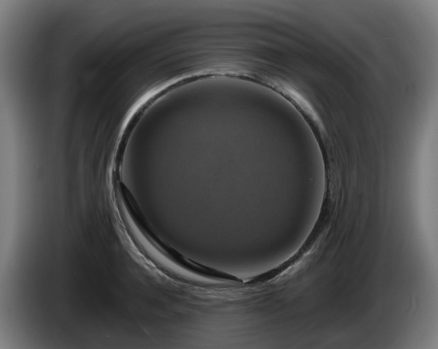 X0000086010944200703301007