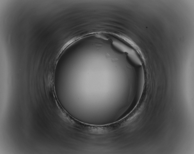 X0000086010945200703301007