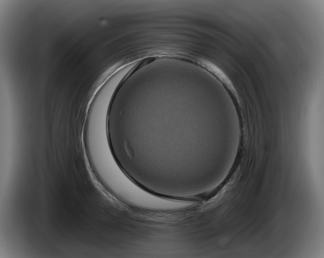 X0000086010946200703301007
