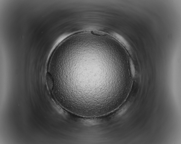 X0000086010948200703301007