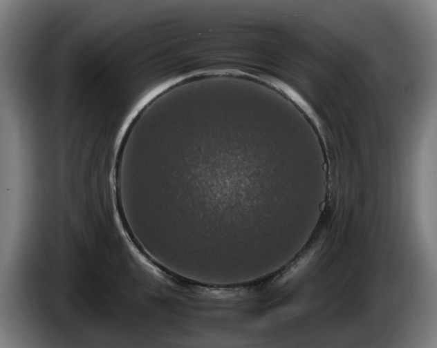 X0000086010951200703301007