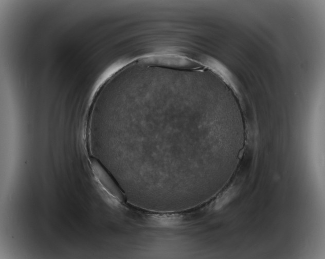 X0000086010952200703301007