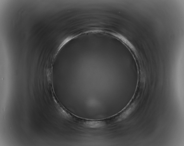 X0000086010953200703301007