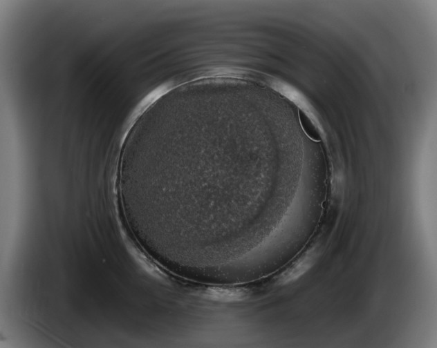 X0000086010954200703301007