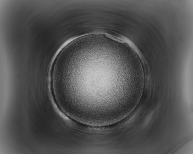 X0000086010955200703301007