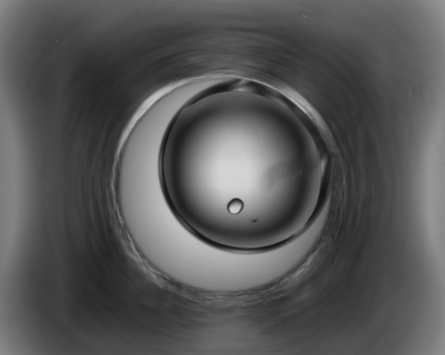 X0000086010956200703301007
