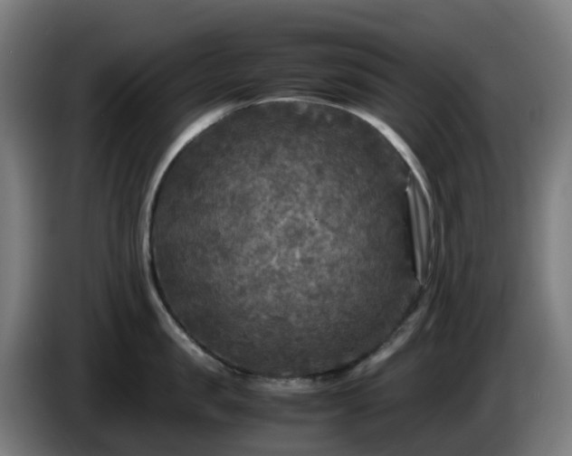 X0000086010957200703301007