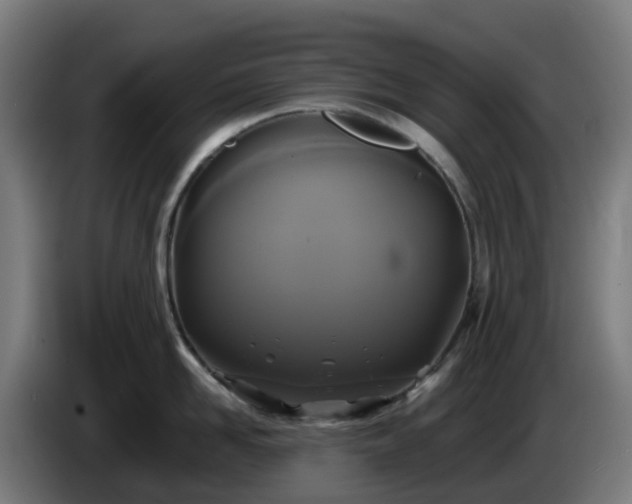 X0000086010958200703301007