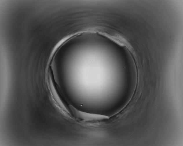 X0000086010960200703301007