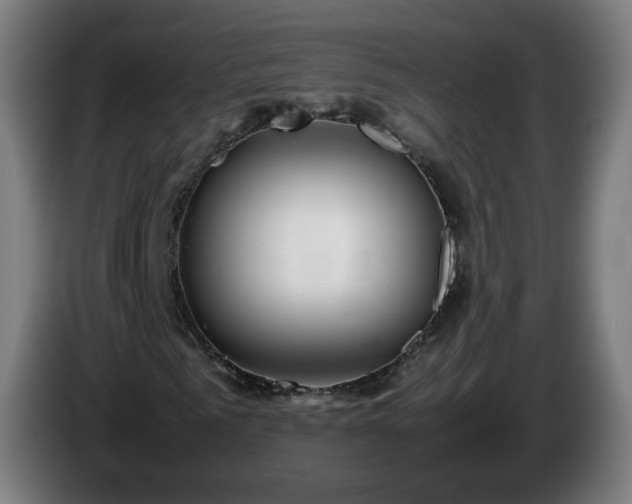 X0000086010961200703301007