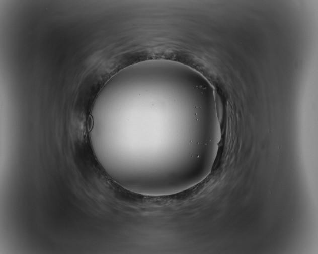 X0000086010963200703301007