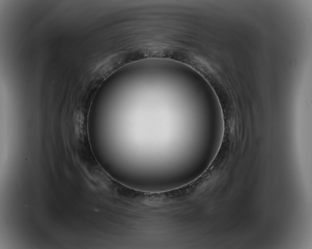 X0000086010964200703301007