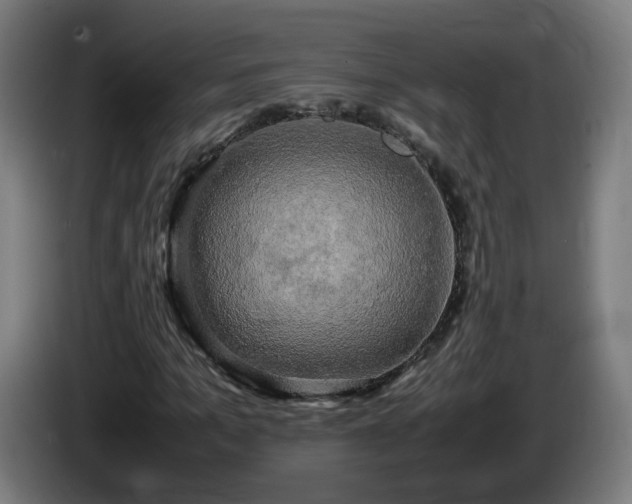 X0000086010965200703301007