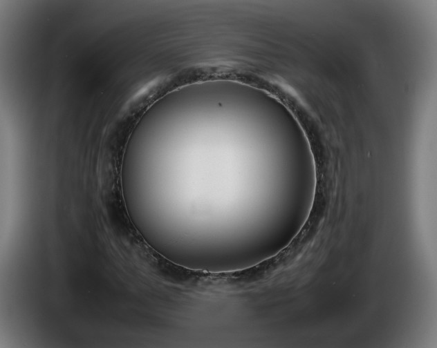 X0000086010967200703301007