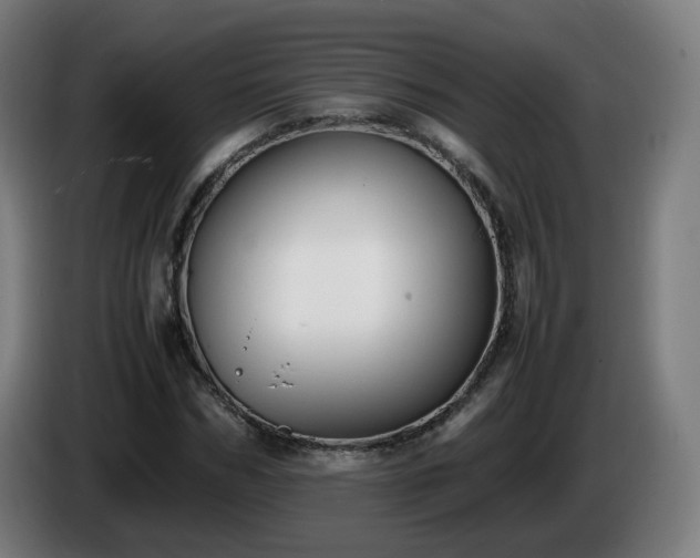 X0000086010970200703301006