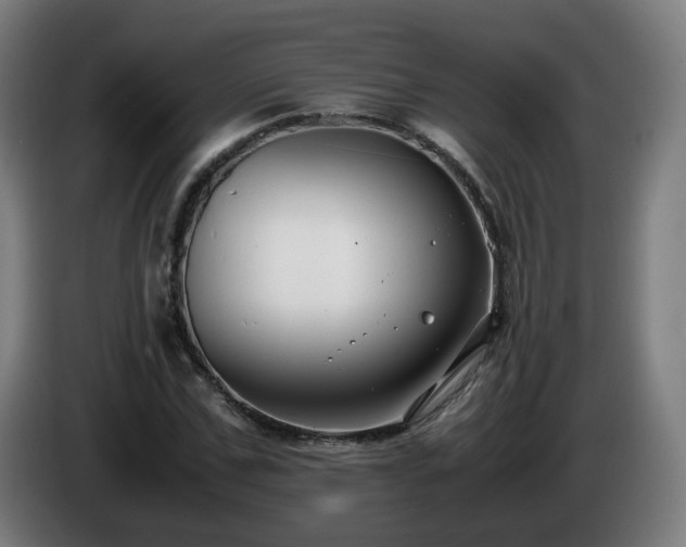 X0000086010971200703301006