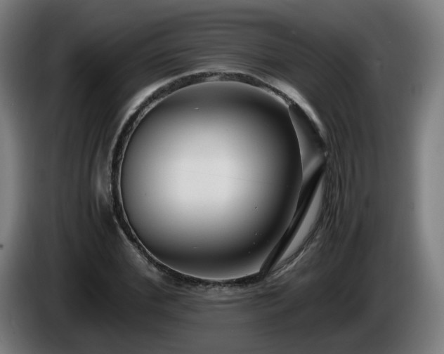 X0000086010972200703301006