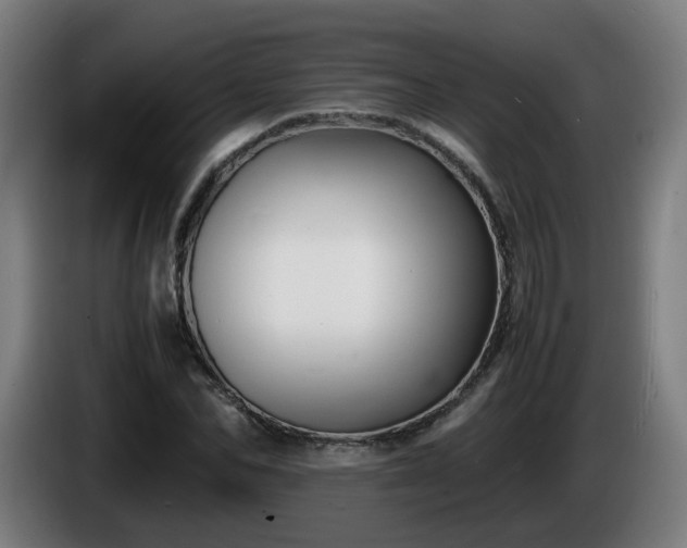 X0000086010974200703301006
