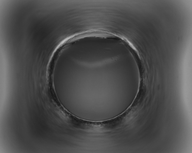 X0000086010975200703301006