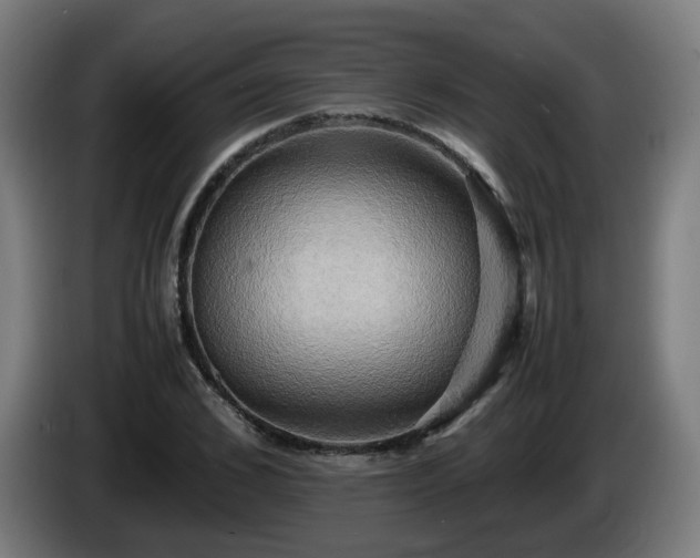 X0000086010976200703301006