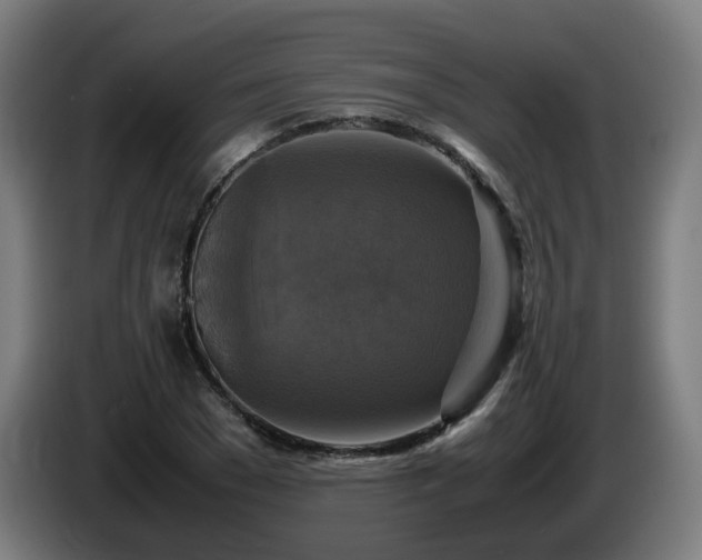 X0000086010977200703301006