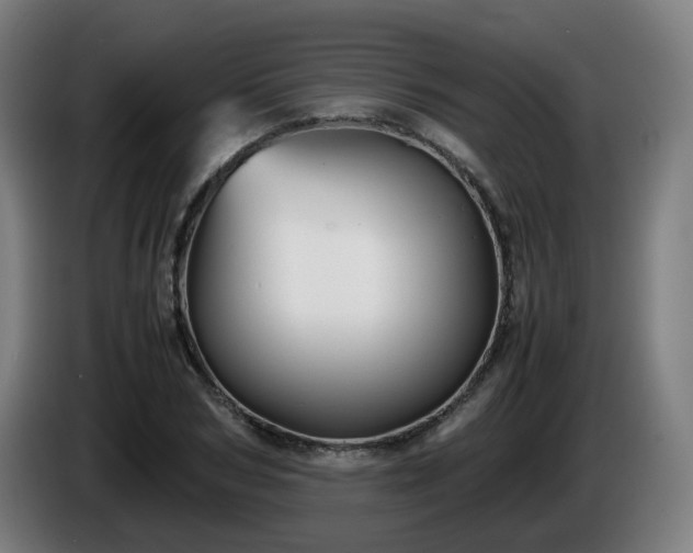 X0000086010978200703301006