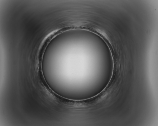 X0000086010979200703301006