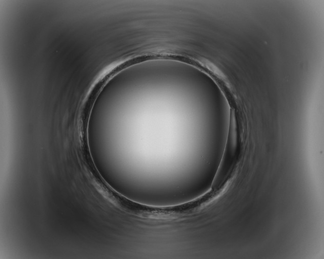 X0000086010981200703301006