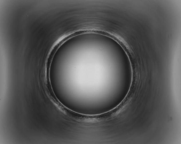 X0000086010982200703301006