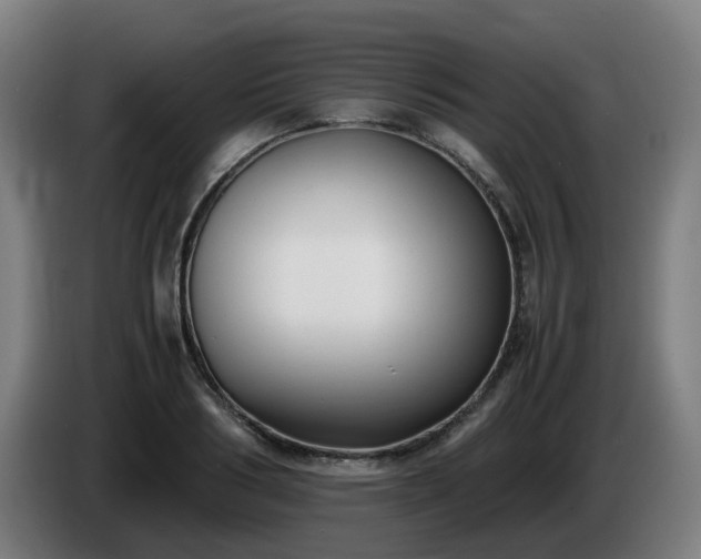 X0000086010986200703301006