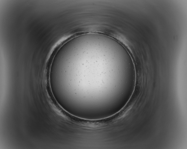 X0000086010987200703301006