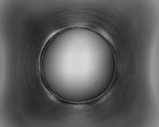 X0000086010988200703301006