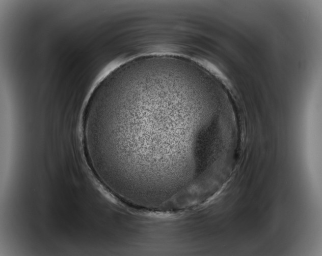 X0000086010990200703301006