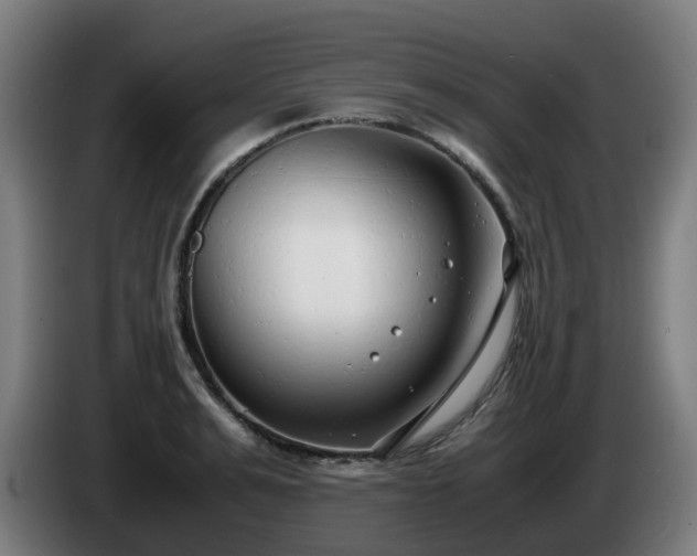 X0000086010991200703301006