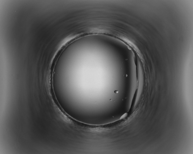 X0000086010992200703301006