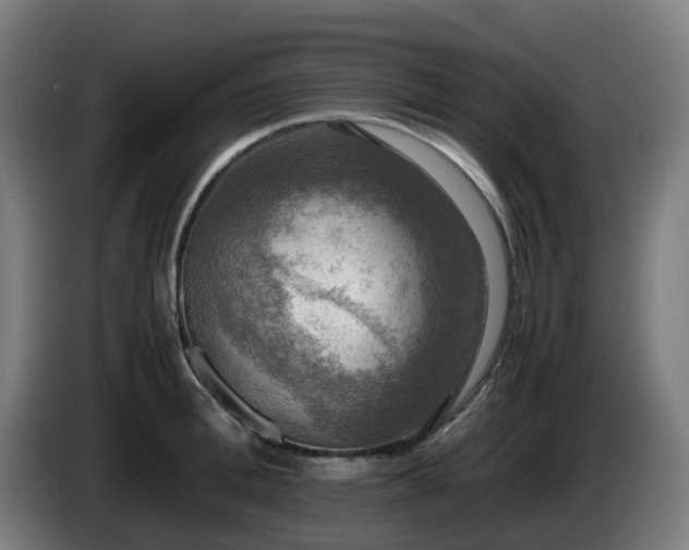 X0000086010996200703301006