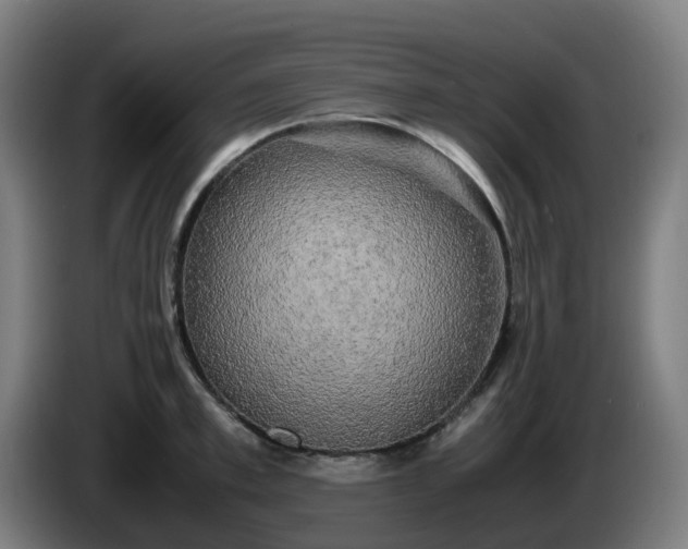 X0000086010997200703301006