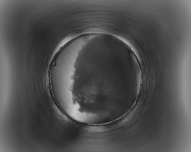 X0000086010998200703301006