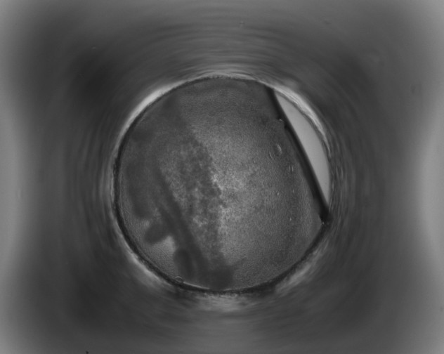 X0000086010999200703301006