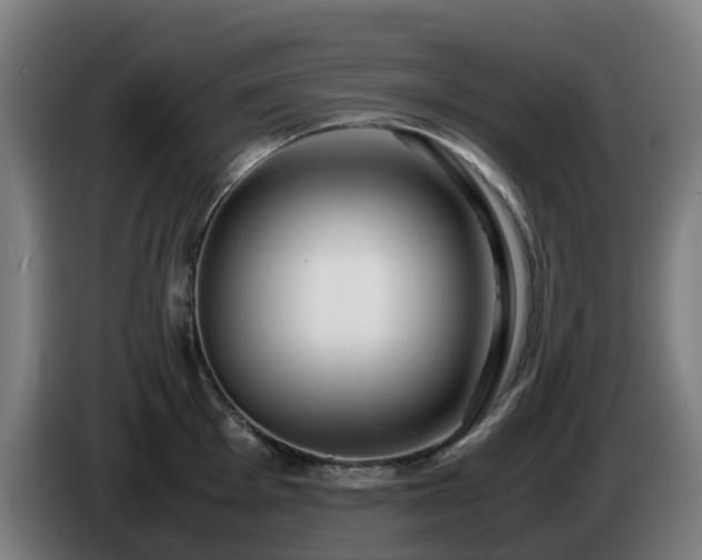 X0000086011001200703301006