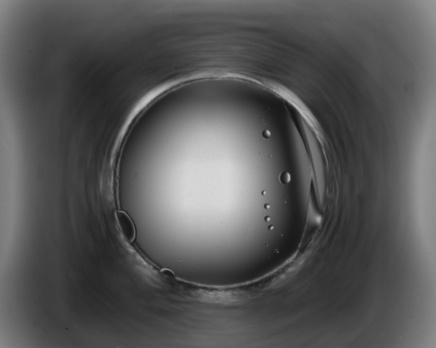 X0000086011004200703301006