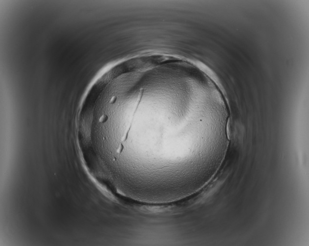 X0000086011005200703301006