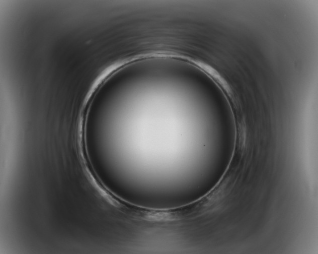 X0000086011006200703301006
