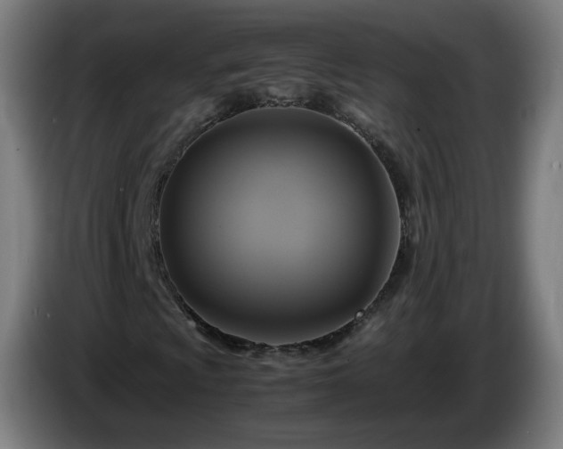 X0000086011009200703301005