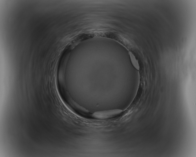 X0000086011010200703301005